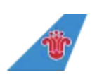 China Southern logo